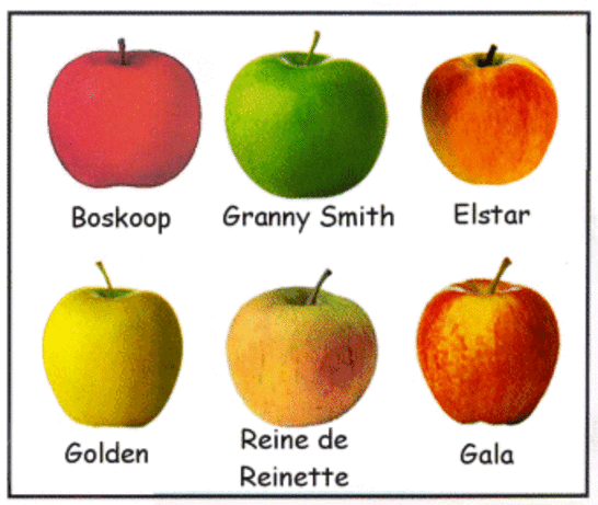 Les bienfaits de la pomme